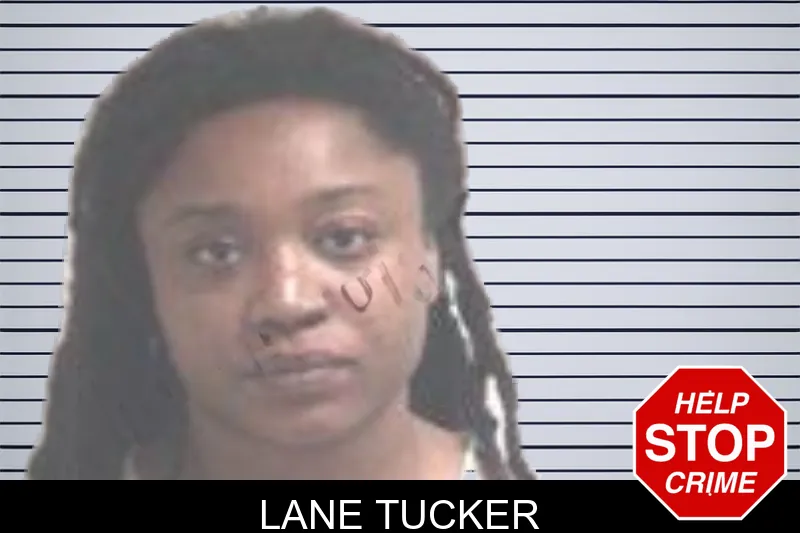 Lane Tucker mugshot – Henry County , Georgia Lane Tucker mugshot