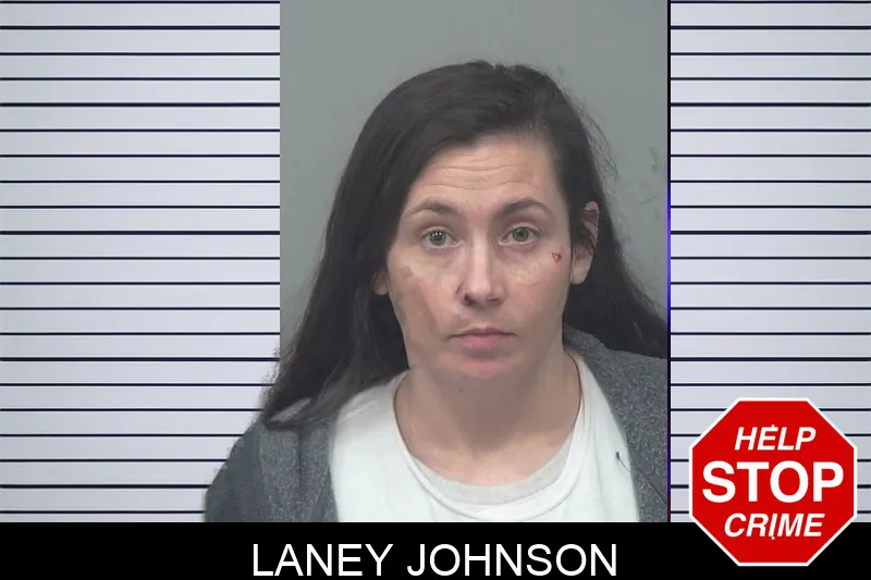 Laney Johnson mugshot