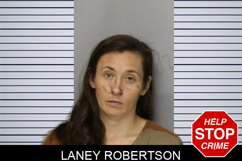 Laney Robertson mugshot