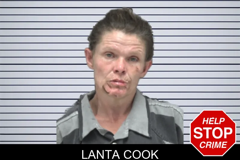 Lanta Cook mugshot