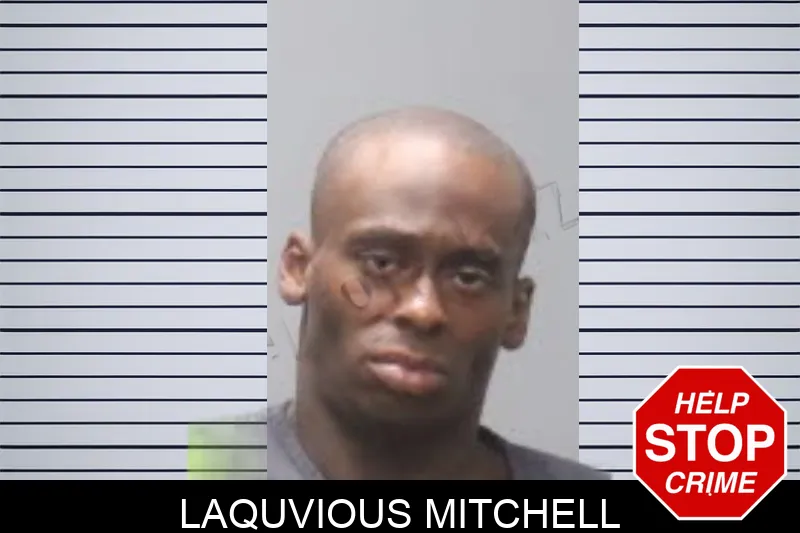 Laquvious Mitchell mugshot