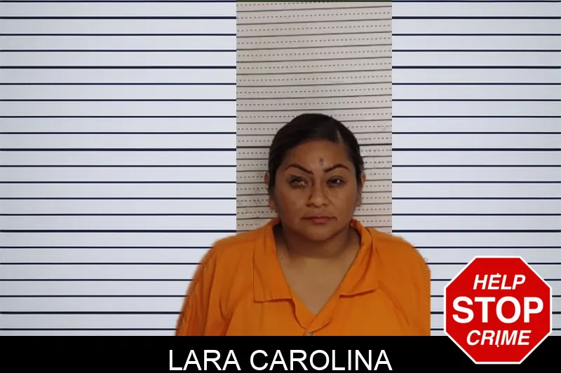Lara Carolina mugshot – Rockdale County , Georgia Lara Carolina mugshot
