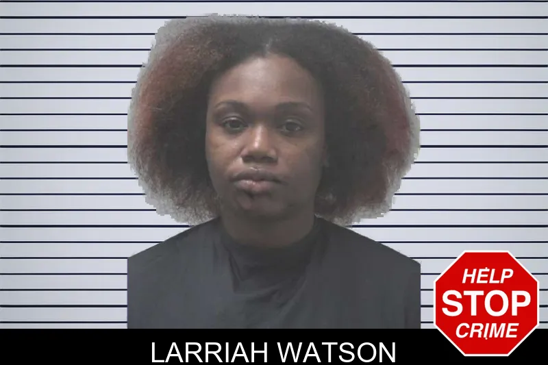 Larriah Watson mugshot