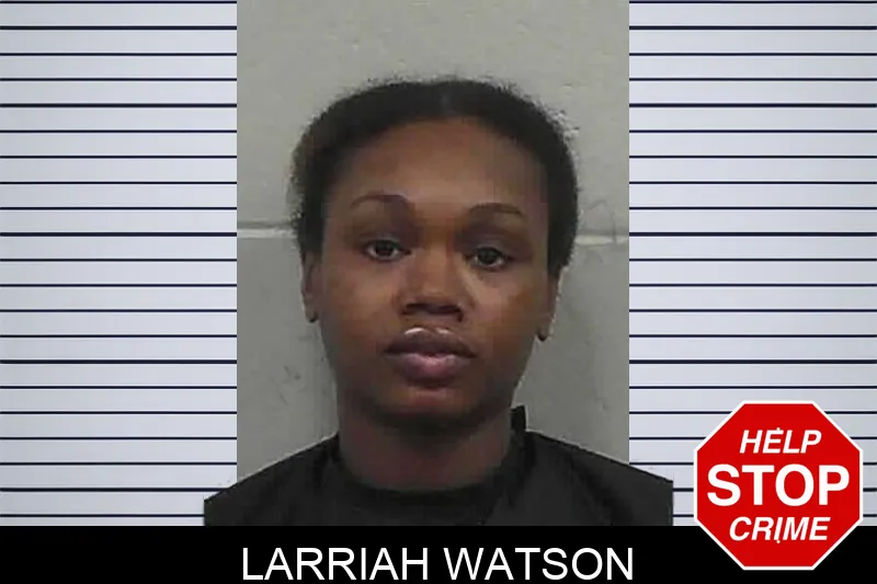 Larriah Watson mugshot – Butts County , Georgia Larriah Watson mugshot