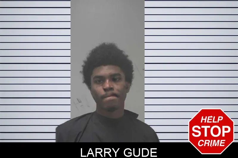 Larry Gude mugshot