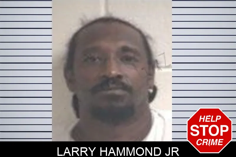 Larry Hammond Jr mugshot – Henry County , Georgia Larry Hammond Jr mugshot