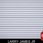 Larry James Jr mugshot