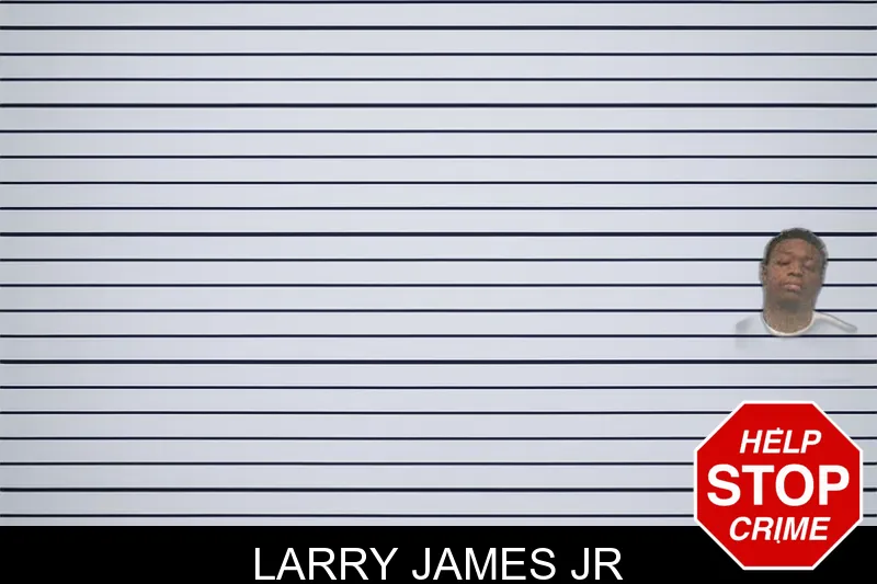 Larry James Jr mugshot