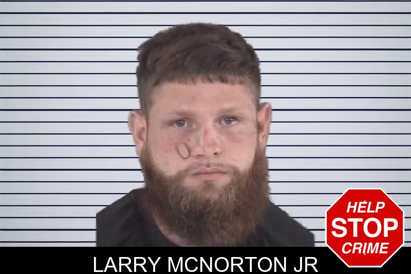 Larry McNorton Jr mugshot