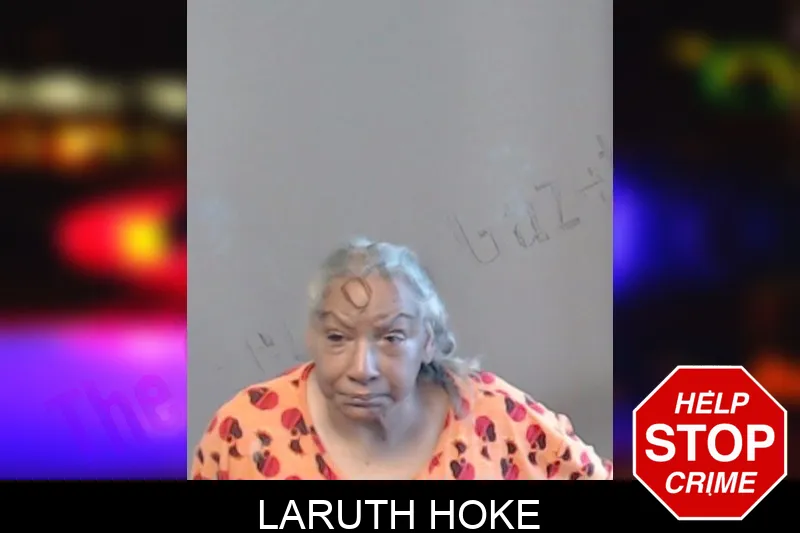 Laruth Hoke mugshot – DeKalb County , Georgia Laruth Hoke mugshot