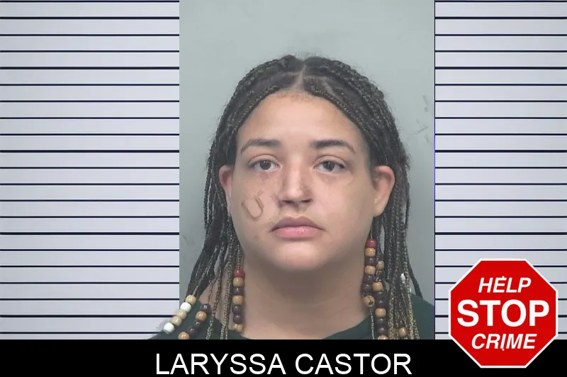 Laryssa Castor mugshot