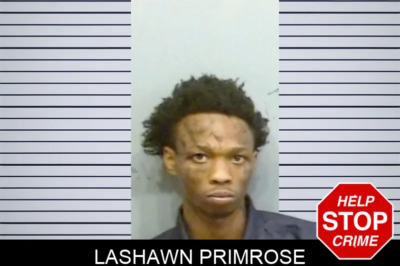 Lashawn Primrose mugshot – Fulton County , Georgia Lashawn Primrose mugshot