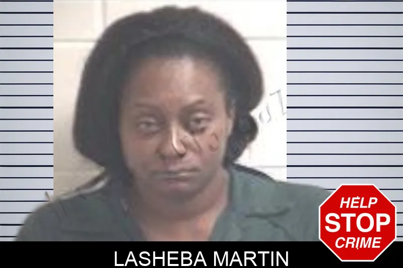 Lasheba Martin mugshot – Henry County , Georgia Lasheba Martin mugshot