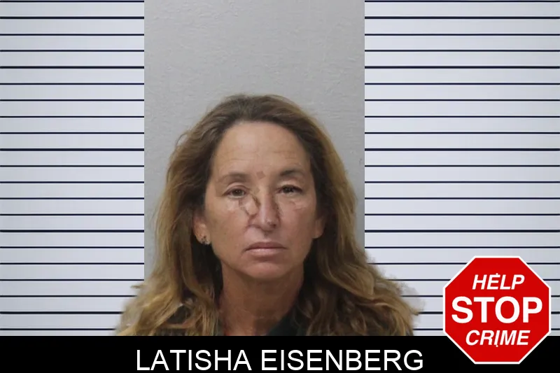 Latisha Eisenberg mugshot – Mcintosh County , Georgia Latisha Eisenberg mugshot