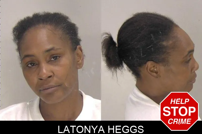 Latonya Heggs mugshot