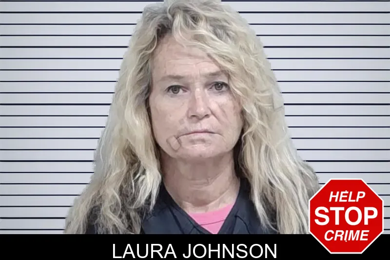 Laura Johnson mugshot