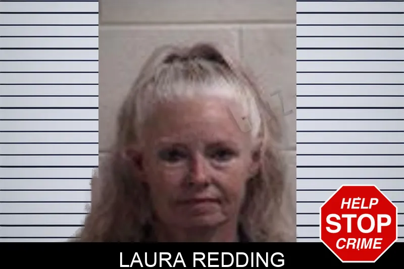 Laura Redding mugshot – Henry County , Georgia Laura Redding mugshot