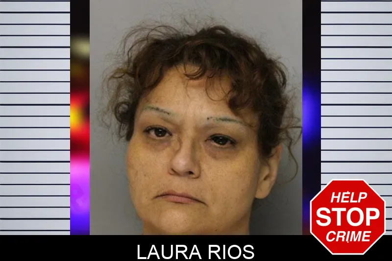 Laura Rios mugshot – Hall County , Georgia Laura Rios mugshot