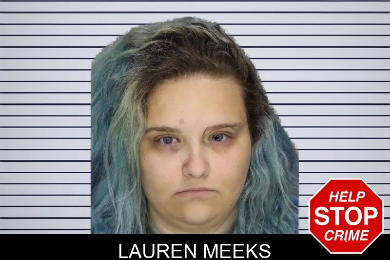 Lauren Meeks mugshot – Cobb County , Georgia Lauren Meeks mugshot