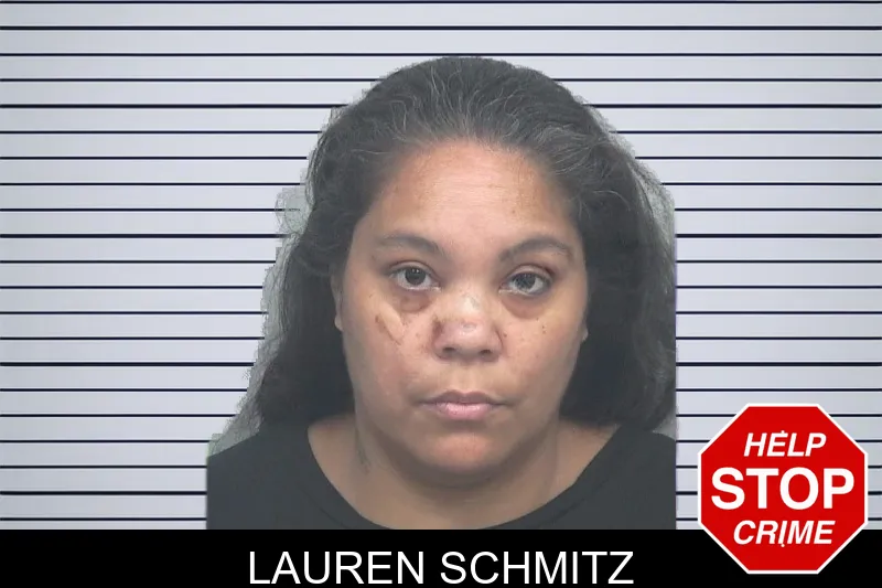 Lauren Schmitz mugshot – Gwinnett County , Georgia Lauren Schmitz mugshot