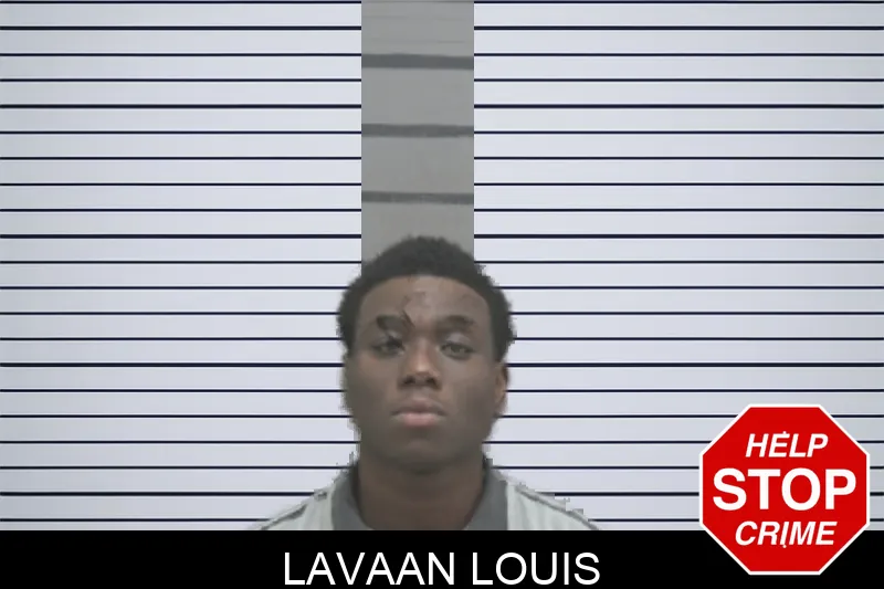 Lavaan Louis mugshot