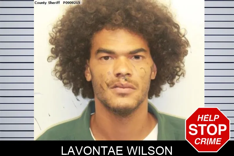 Lavontae Wilson mugshot – Chatham County , Georgia Lavontae Wilson mugshot