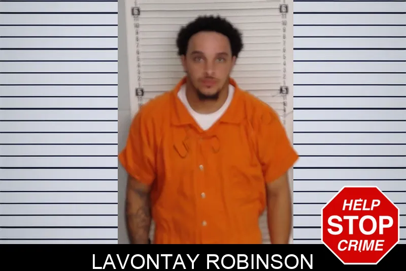 Lavontay Robinson mugshot – Rockdale County , Georgia Lavontay Robinson mugshot