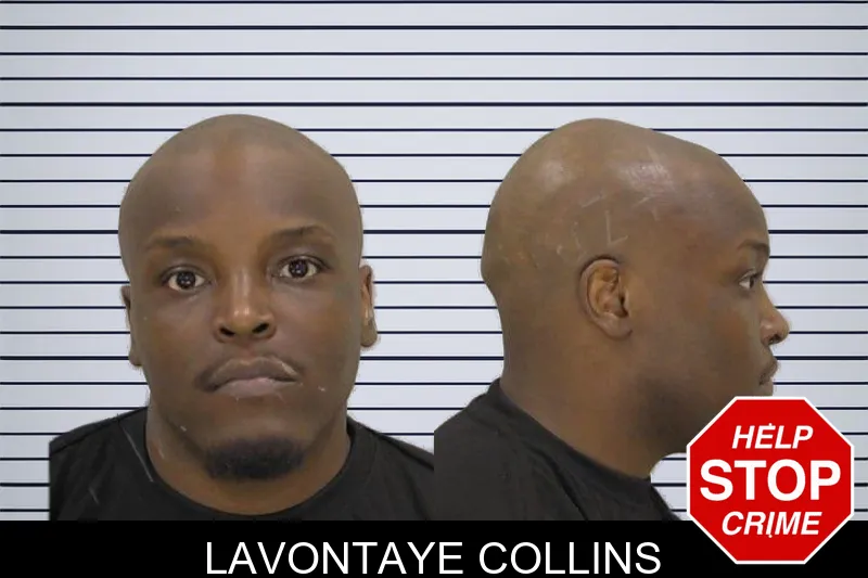 Lavontaye Collins mugshot