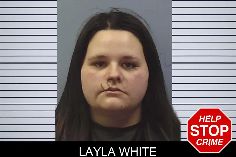 Layla White mugshot – Chattooga County , Georgia Layla White mugshot