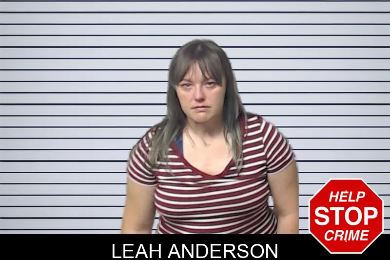 Leah Anderson mugshot