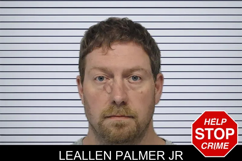 Leallen Palmer Jr mugshot