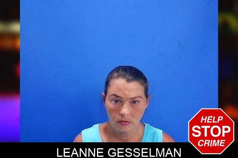 Leanne Gesselman mugshot – Troup County , Georgia Leanne Gesselman mugshot