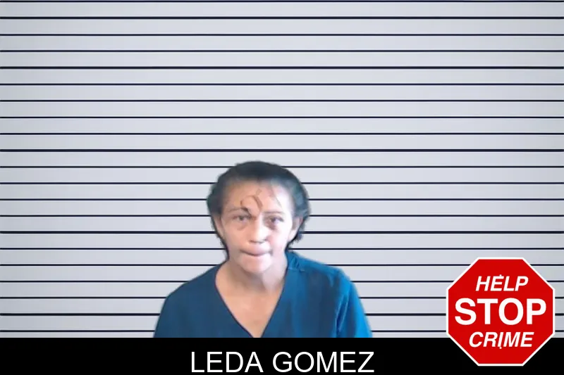 Leda Gomez mugshot