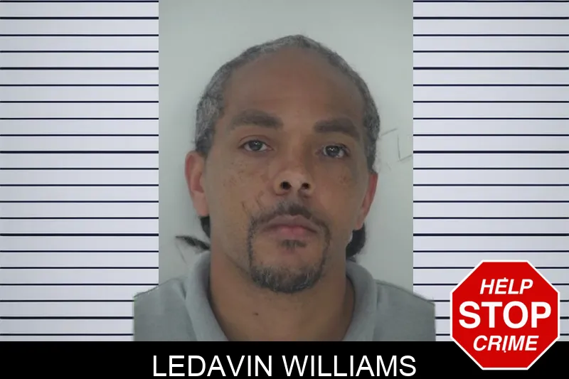 Ledavin Williams mugshot