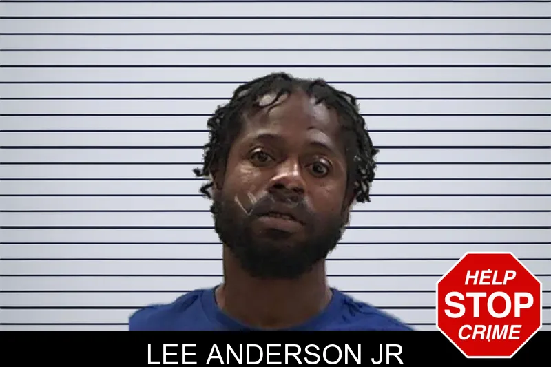 Lee Anderson Jr mugshot