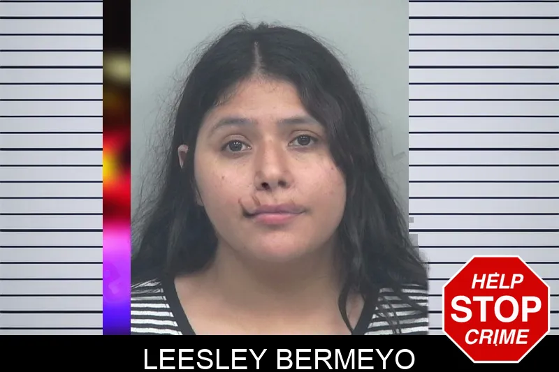 Leesley Bermeyo mugshot