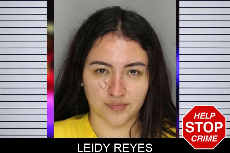 Leidy Reyes mugshot