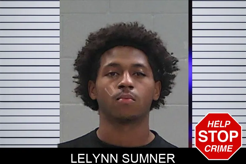 Lelynn Sumner mugshot