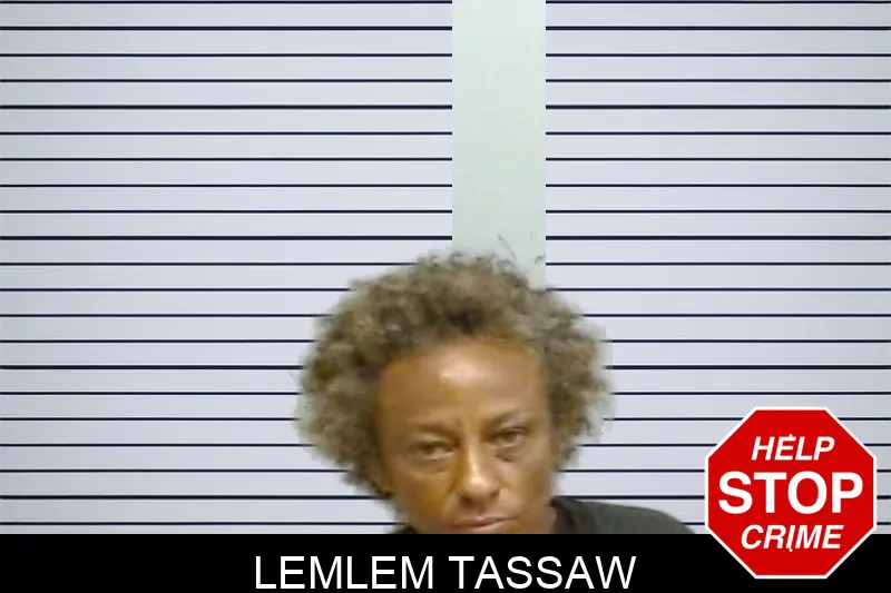 Lemlem Tassaw mugshot – Fulton County , Georgia Lemlem Tassaw mugshot