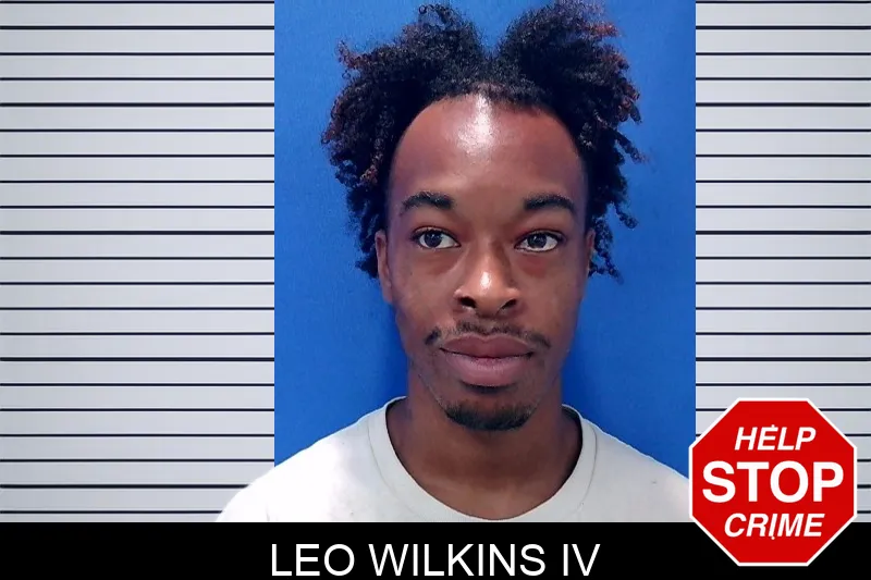 Leo Wilkins IV mugshot