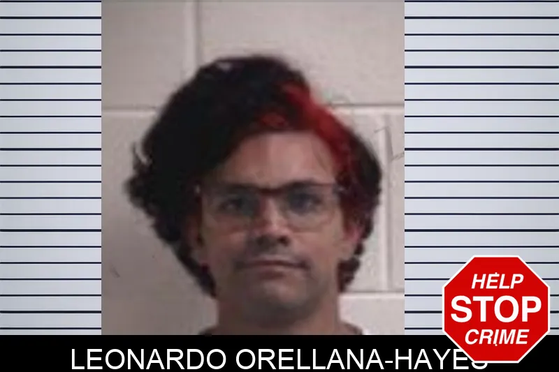Leonardo Orellana-Hayes mugshot – Henry County , Georgia Leonardo Orellana-Hayes mugshot