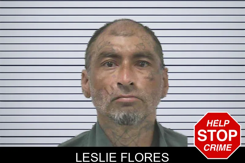 Leslie Flores mugshot