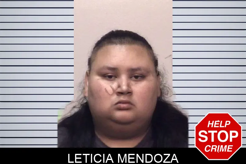 Leticia Mendoza mugshot