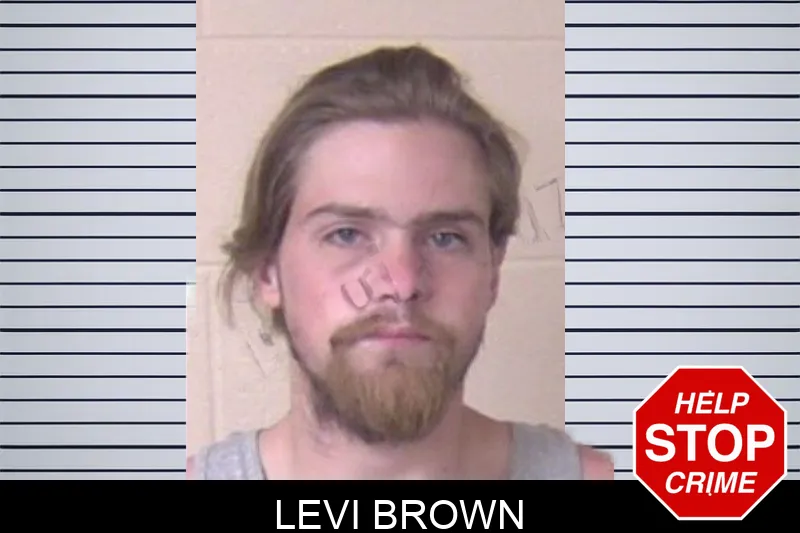 Levi Brown mugshot