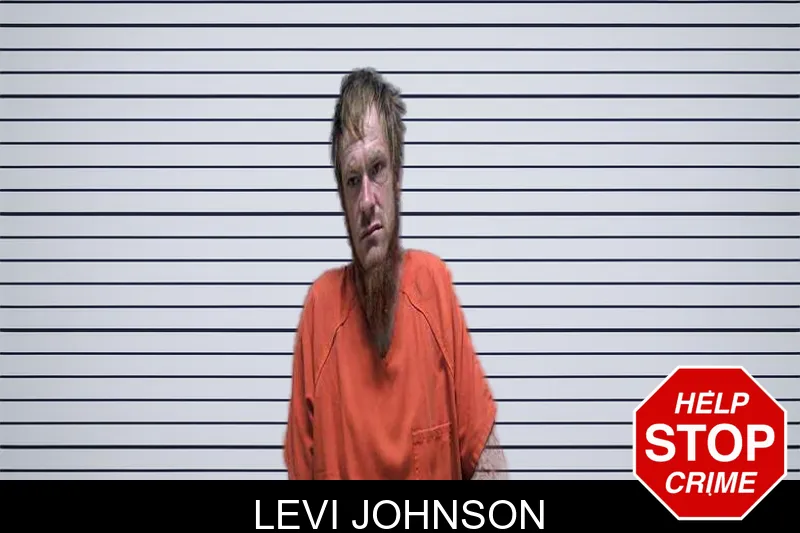 Levi Johnson mugshot