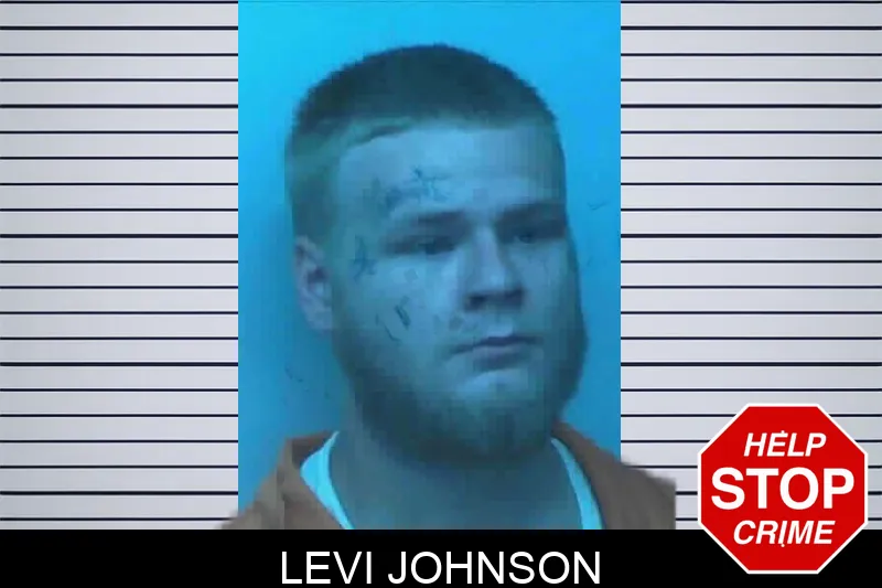 Levi Johnson mugshot