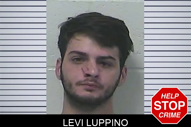 Levi Luppino mugshot