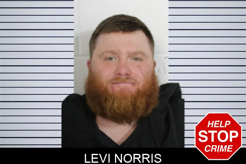 Levi Norris mugshot