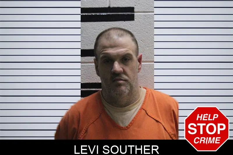 Levi Souther mugshot