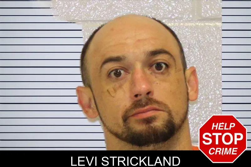 Levi Strickland mugshot